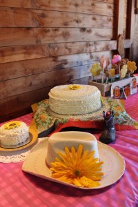 Southern Sweetheart 1st Birthday Party